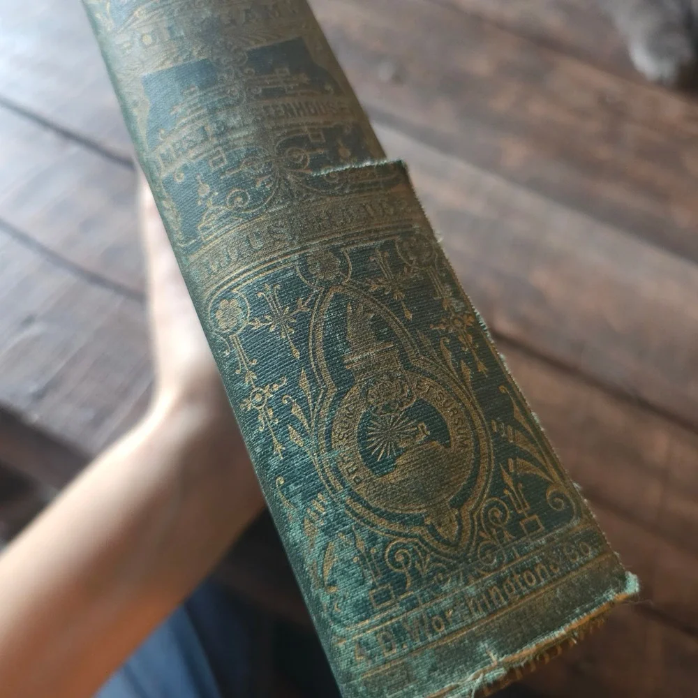 1874 Tell It All Mrs TBH Stenhouse Mormonism Harriet Beecher Stowe Antique Book